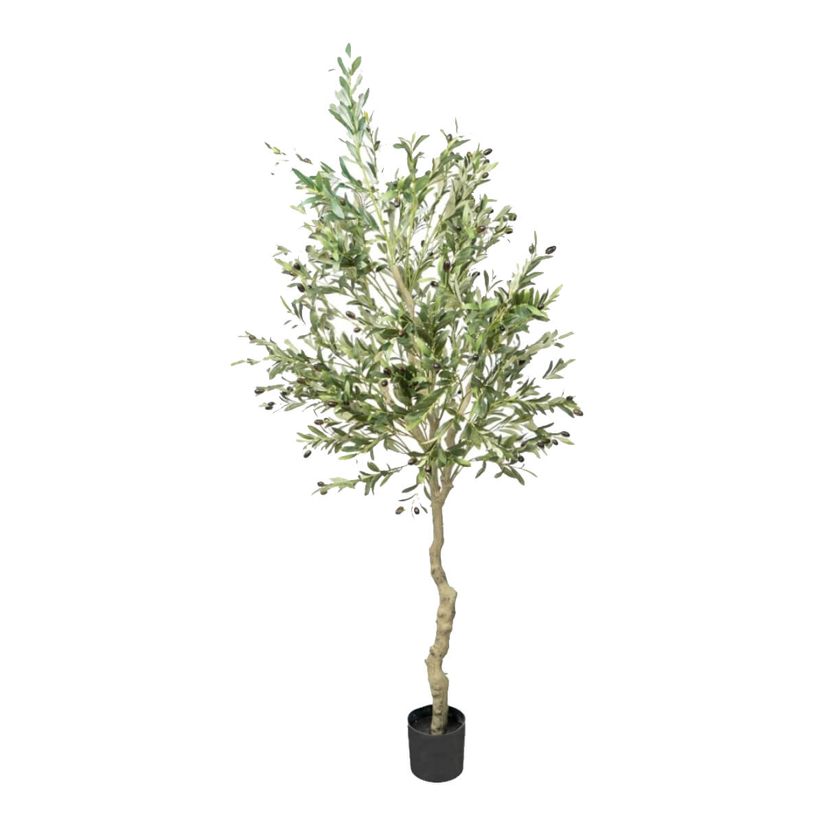ARBOL OLIVO 100X100X195CM