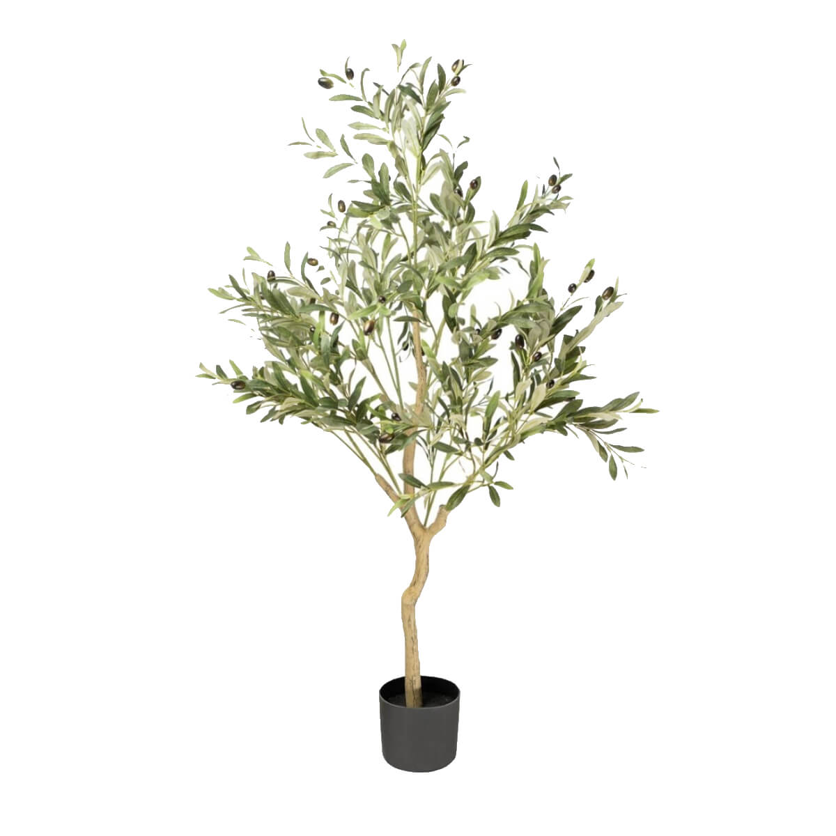 ARBOL OLIVO 80X90X130CM