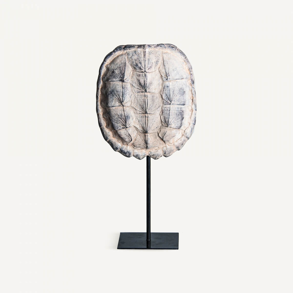 FIGURA DECORATIVA CAPARAZÓN TORTUGA 20X10X40CM